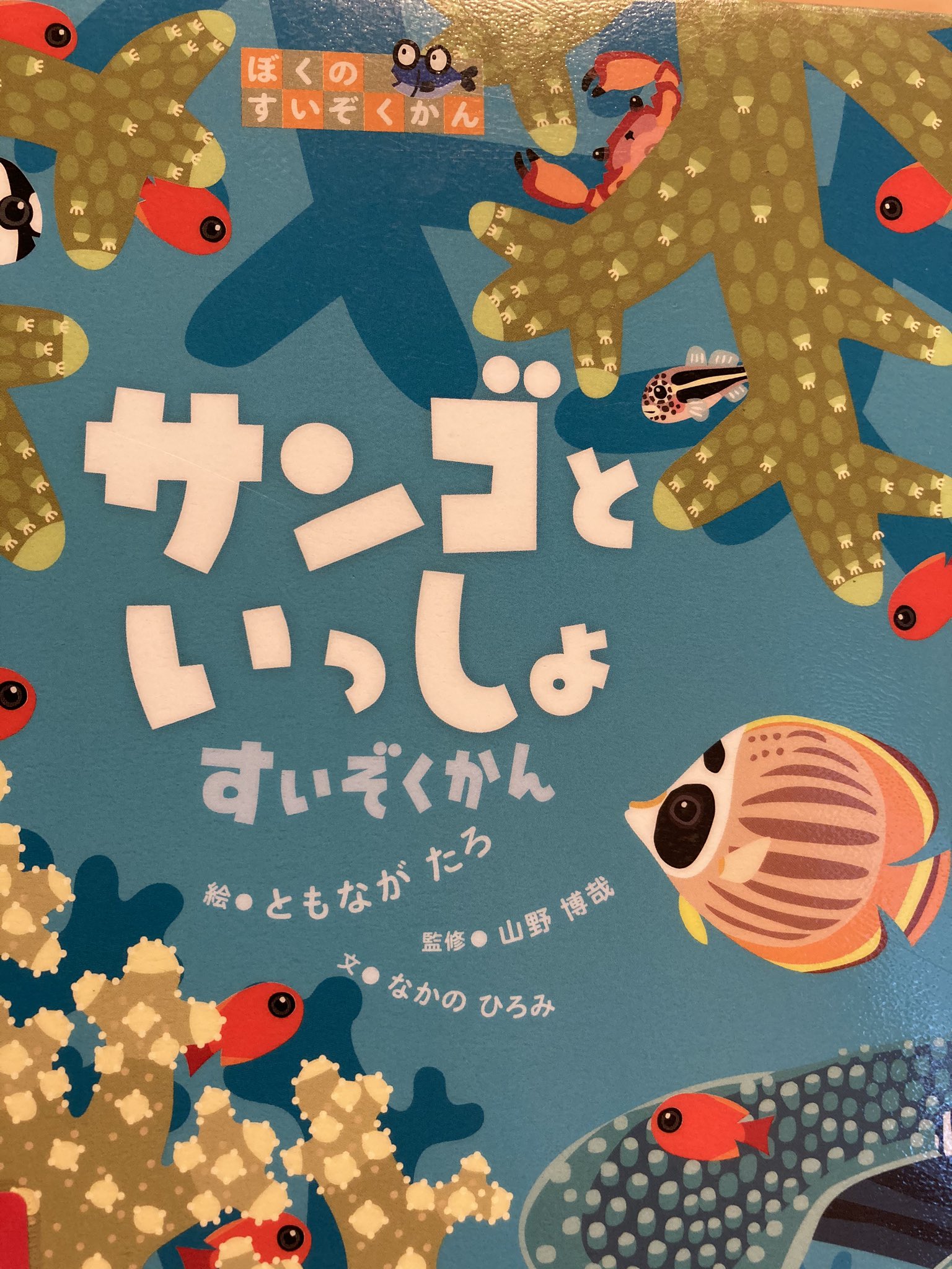 Sayumi Tanino Twitter