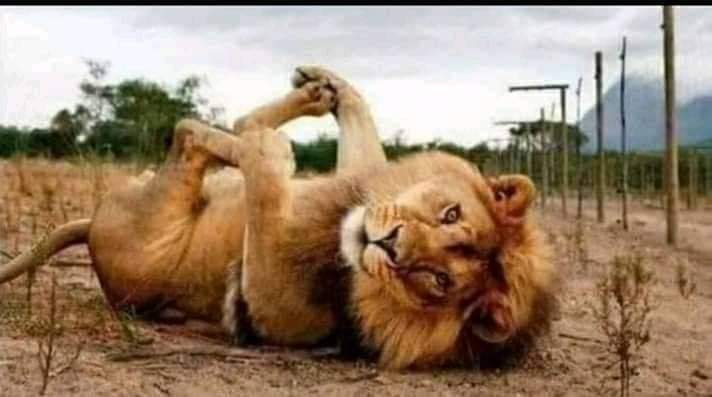 لما يكون طبعه جامد ومتعصب وتقوليلهه يا كوكو"😹🖤