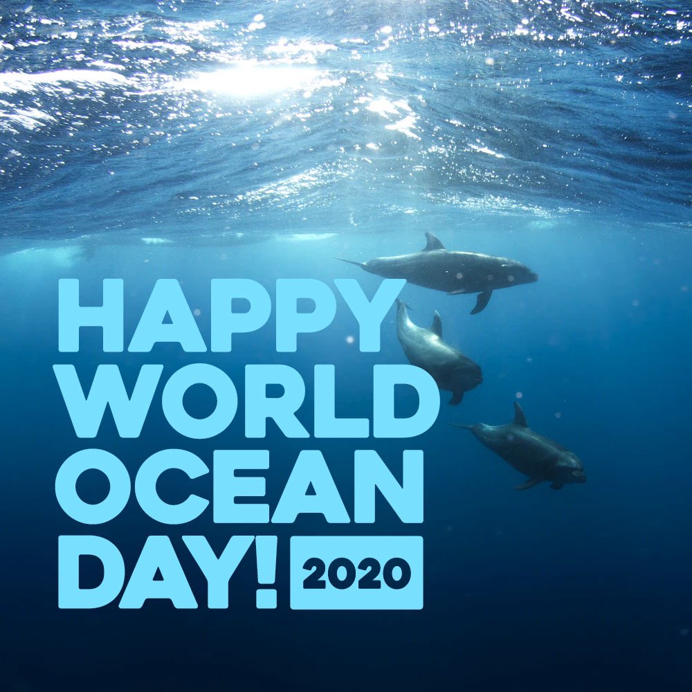 Avaaz Twitterren Happy World Ocean Day Oceansday Worldoceansday