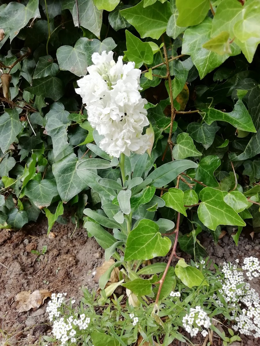 Mindfulness is… ook als het in je leven of werk anders loopt dan je had gehoopt, verwacht of gepland, je aandacht richten op wat er op dit moment wél is en daar even bij stilstaan. 

Wat heb jij vandaag gezien, gehoord, gevoeld, geroken of geproefd waar je blij van werd?