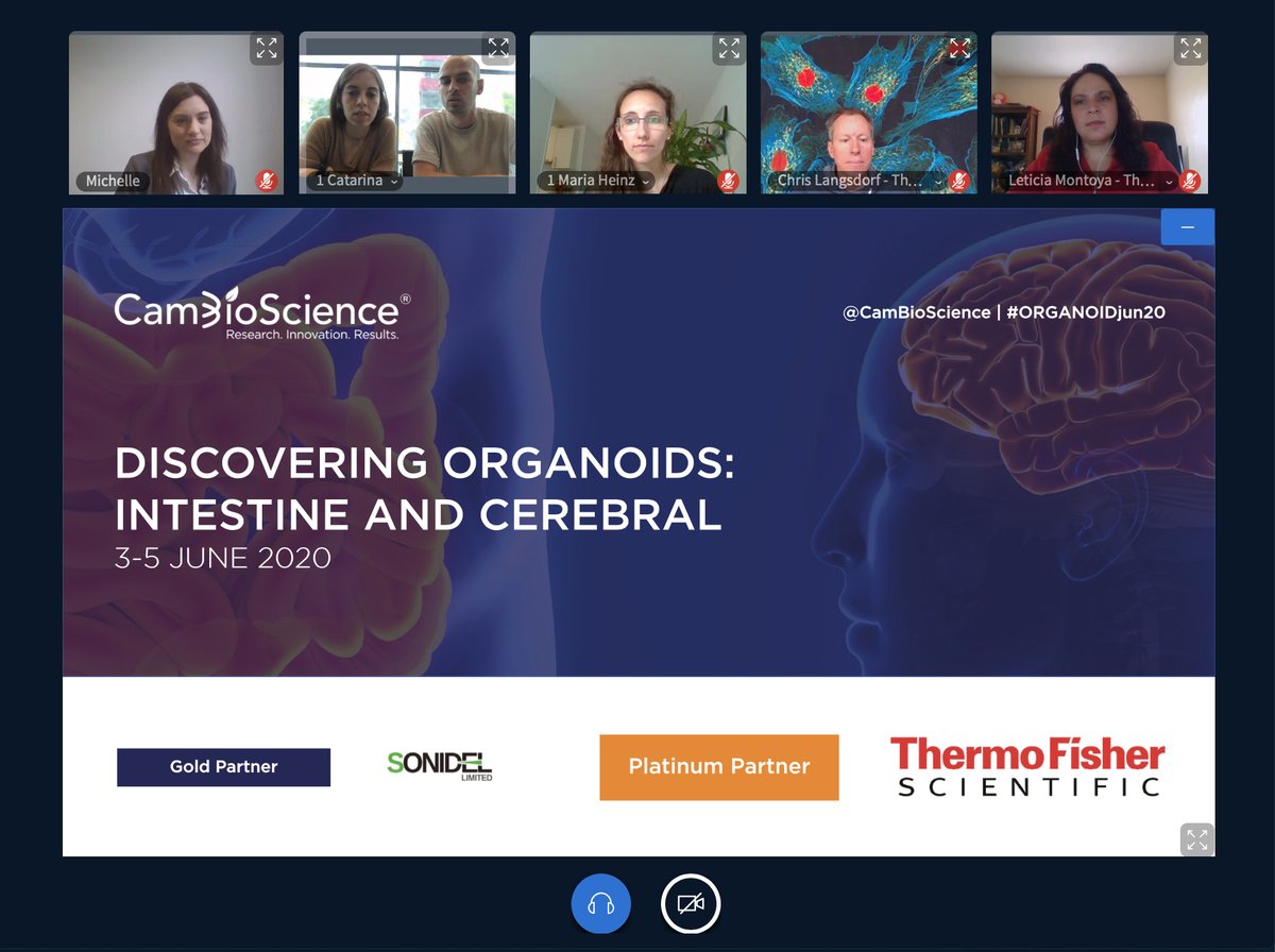 Some great screenshots of last weeks Digital Intestine and Cerebral organoid course😃

Interested in attending an online course by CamBioScience? Learn more here - cambioscience.com/courses/

#ORGANOIDjun20 #organoid #intestine #cerebral #onlinelearning #lifescience