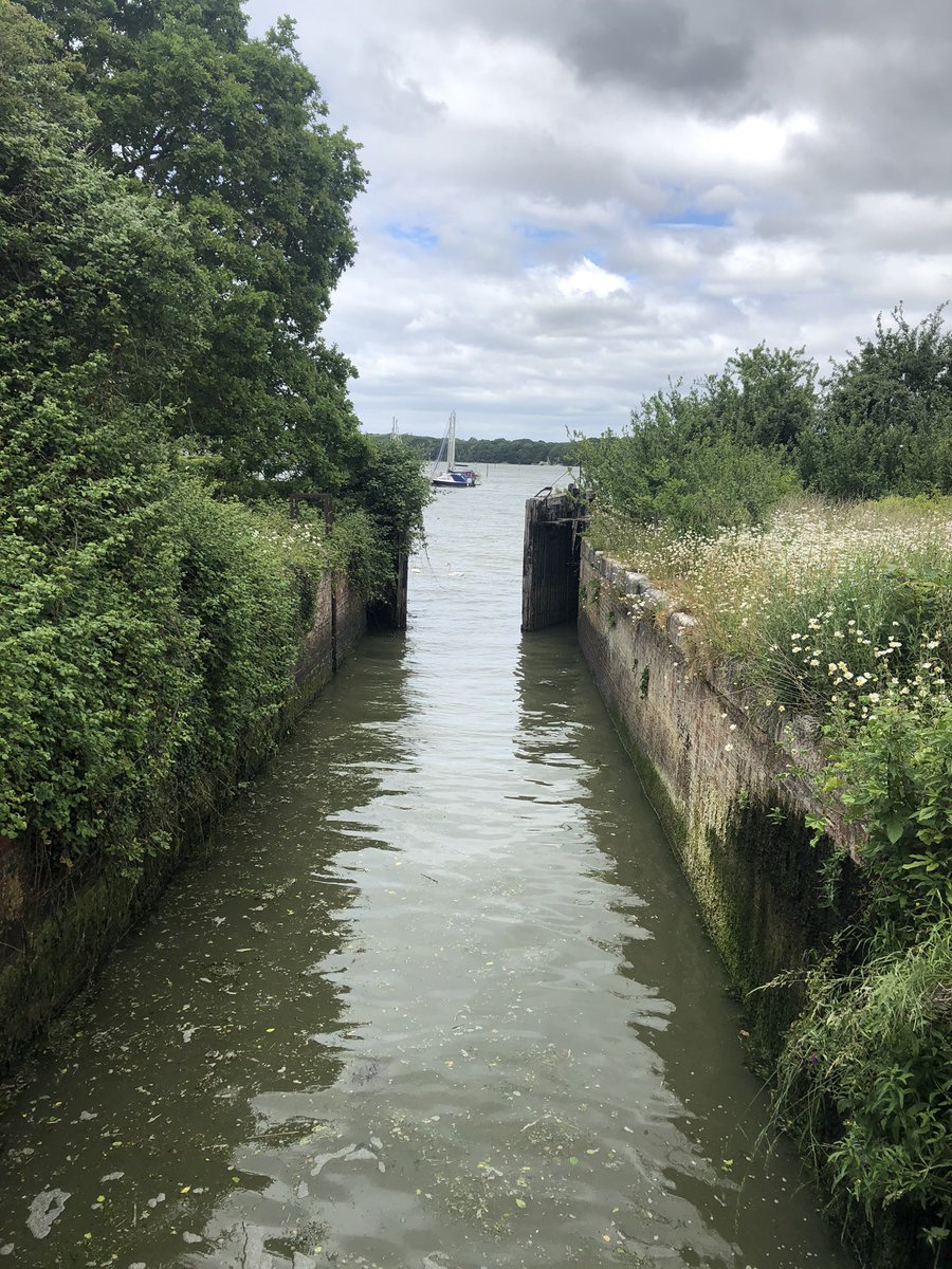 ChichesterYachtClub tweet media