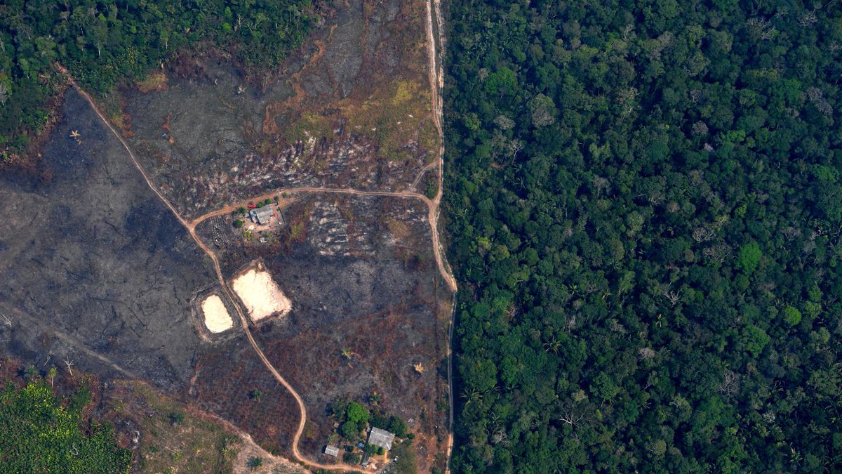 franceinfo's tweet image. Coronavirus : le "jour du dépassement" a reculé de trois semaines avec la baisse des abattages forestiers

francetvinfo.fr/meteo/climat/c…