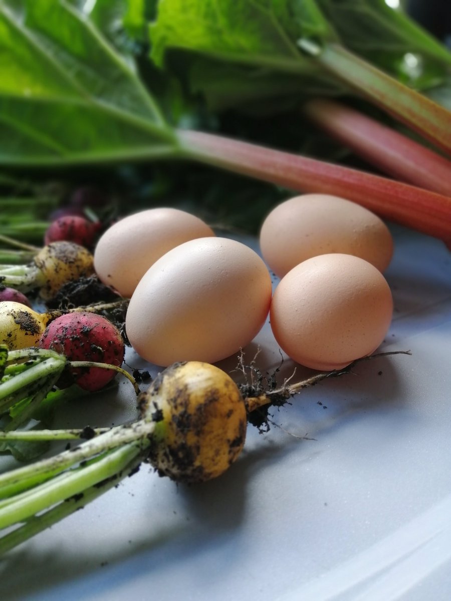 Some early #harvest from our garden. Our hard work paying off, can't wait for the rest. #potatoes #peas #carrots #beetroot #sweetcorn #lettuce #strawberries #blueberries