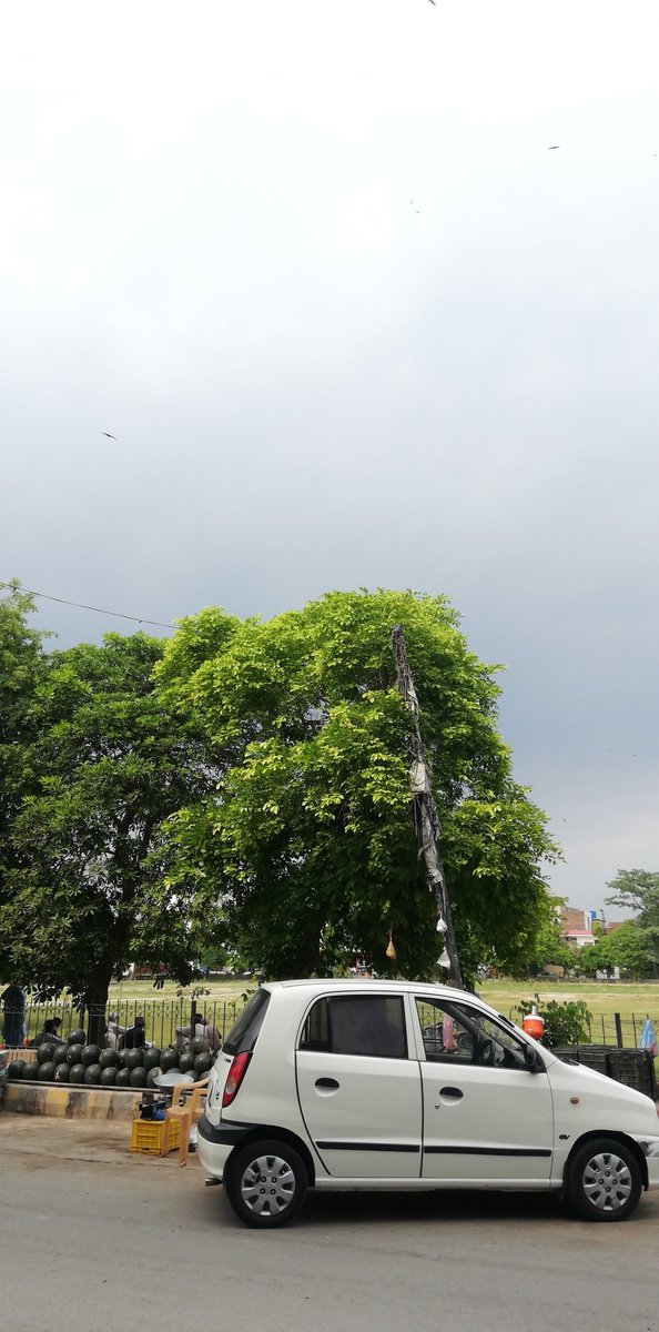 iFatimaAlAsadi's tweet photo. Lahore right now!😍❤️ https://t.co/RHn3VmVoyH