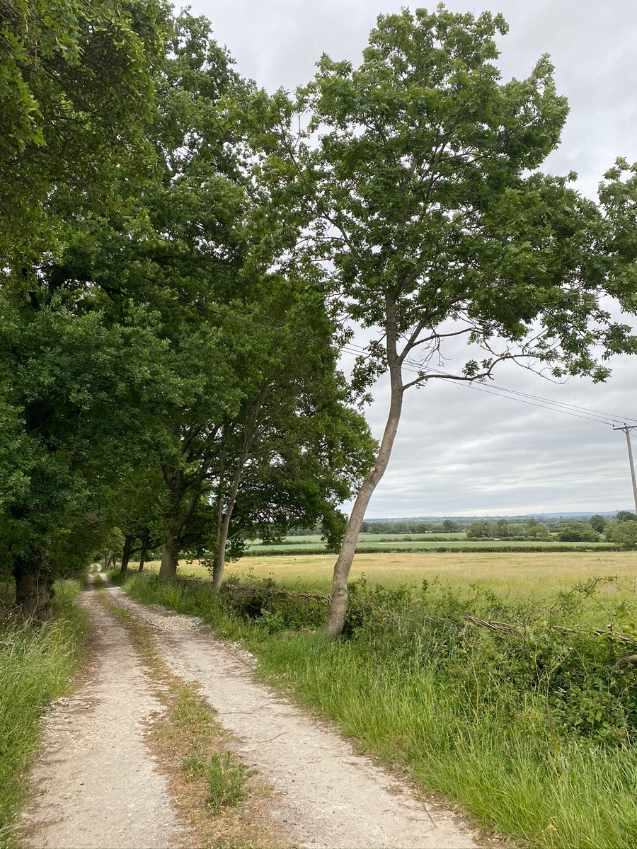 Stuart Conway tweet media