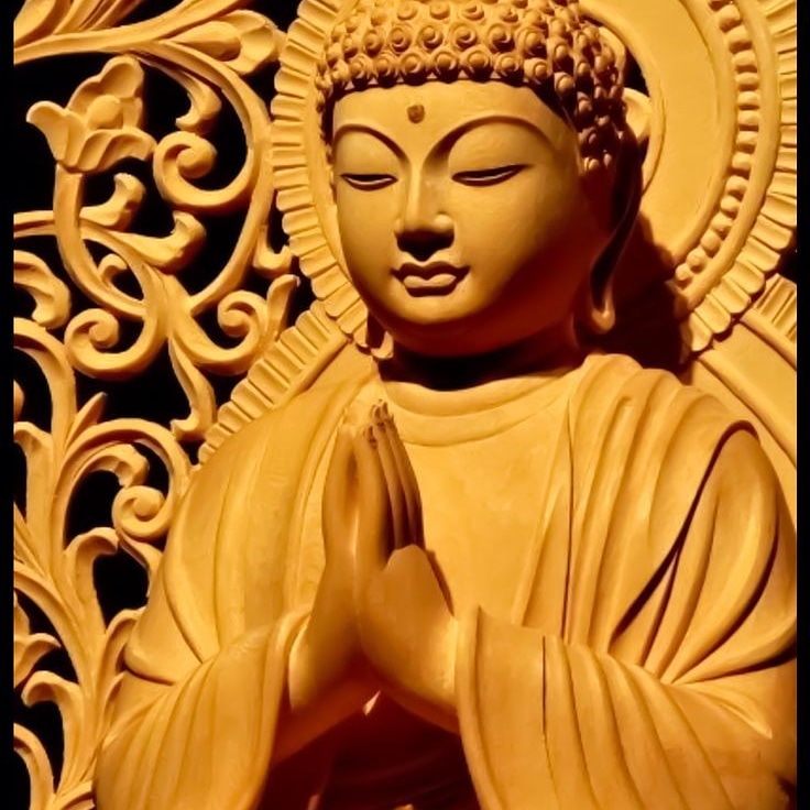 GermanJoseLope2's tweet photo. "Sea cual sea la riqueza -aquí o en el más allá- todos los tesoros preciosos del paraíso no se comparan al estado despierto"
~ Buddha, Sutta Nipatta. https://t.co/xKHFMum4b3