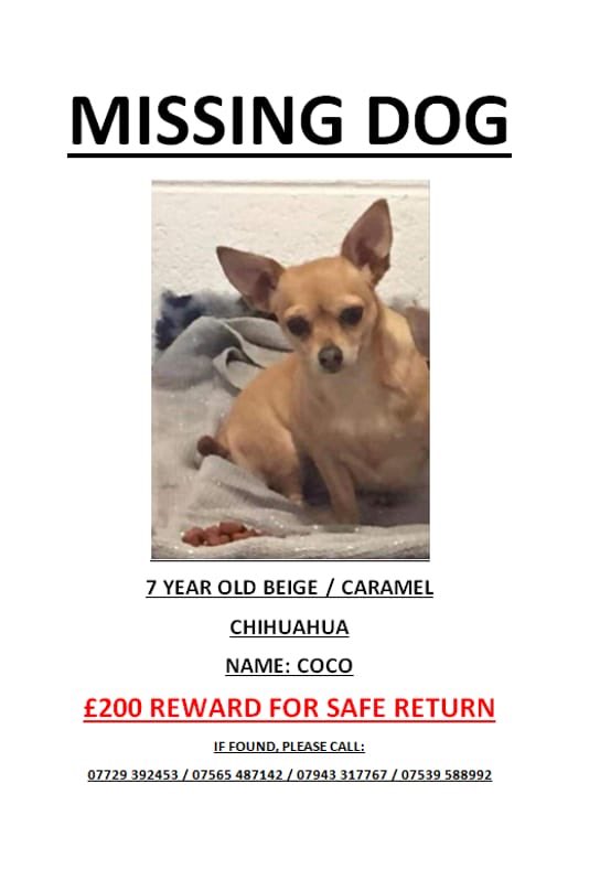 PLEASE RETWEET 

Last seen around the grays/Palmer’s area message me or call them numbers below if you have any info!