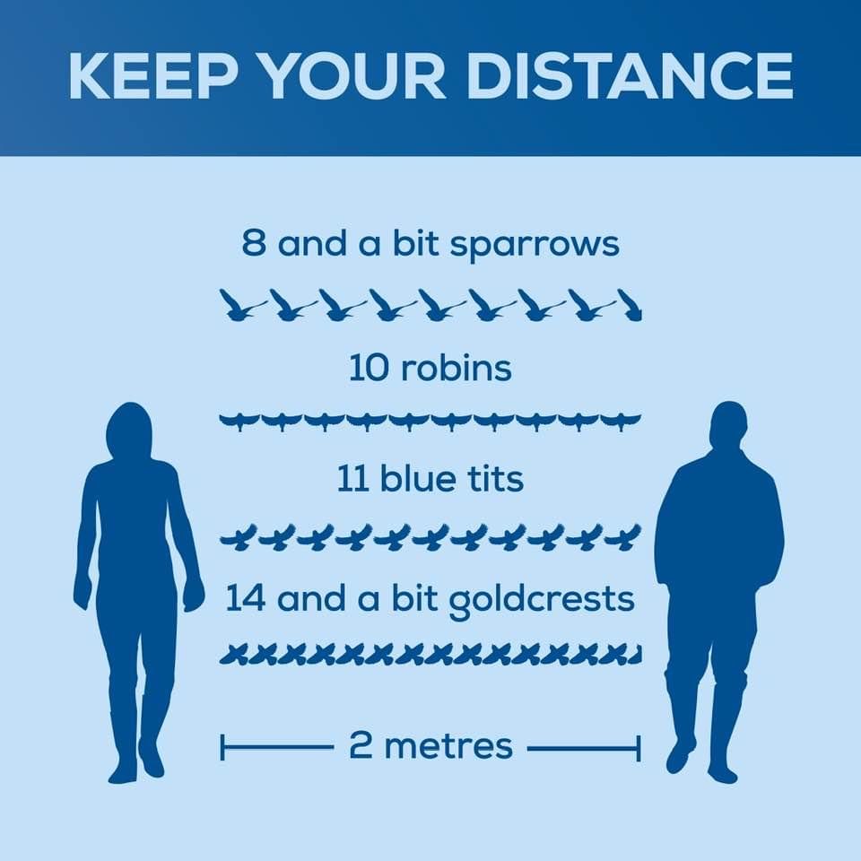 RHJMJC's tweet photo. @BBCSpringwatch A friend of mine found this which is very useful for social distancing in the ornithology context 😁#bbcspringwatch https://t.co/Hj776HCBRh