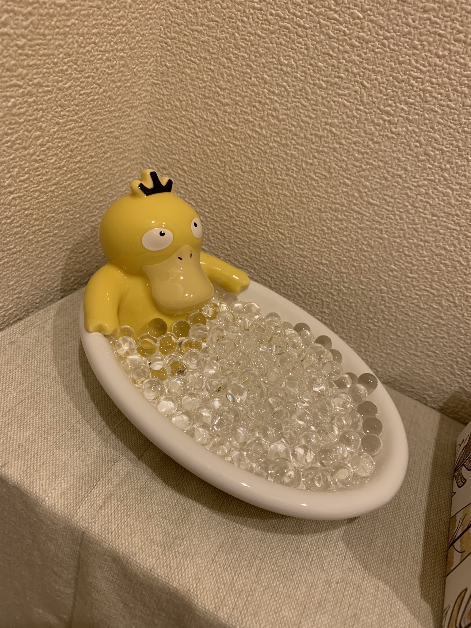 コダック ソープディッシュ やすくっ コダックはノーてんき コダック ソープディッシュ やすくっ コダックはノーてんき