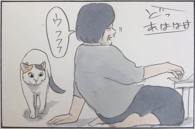 『猫の理不尽まめちしき』 