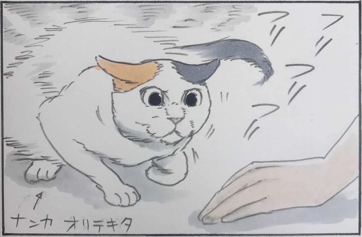 『猫の理不尽まめちしき』 