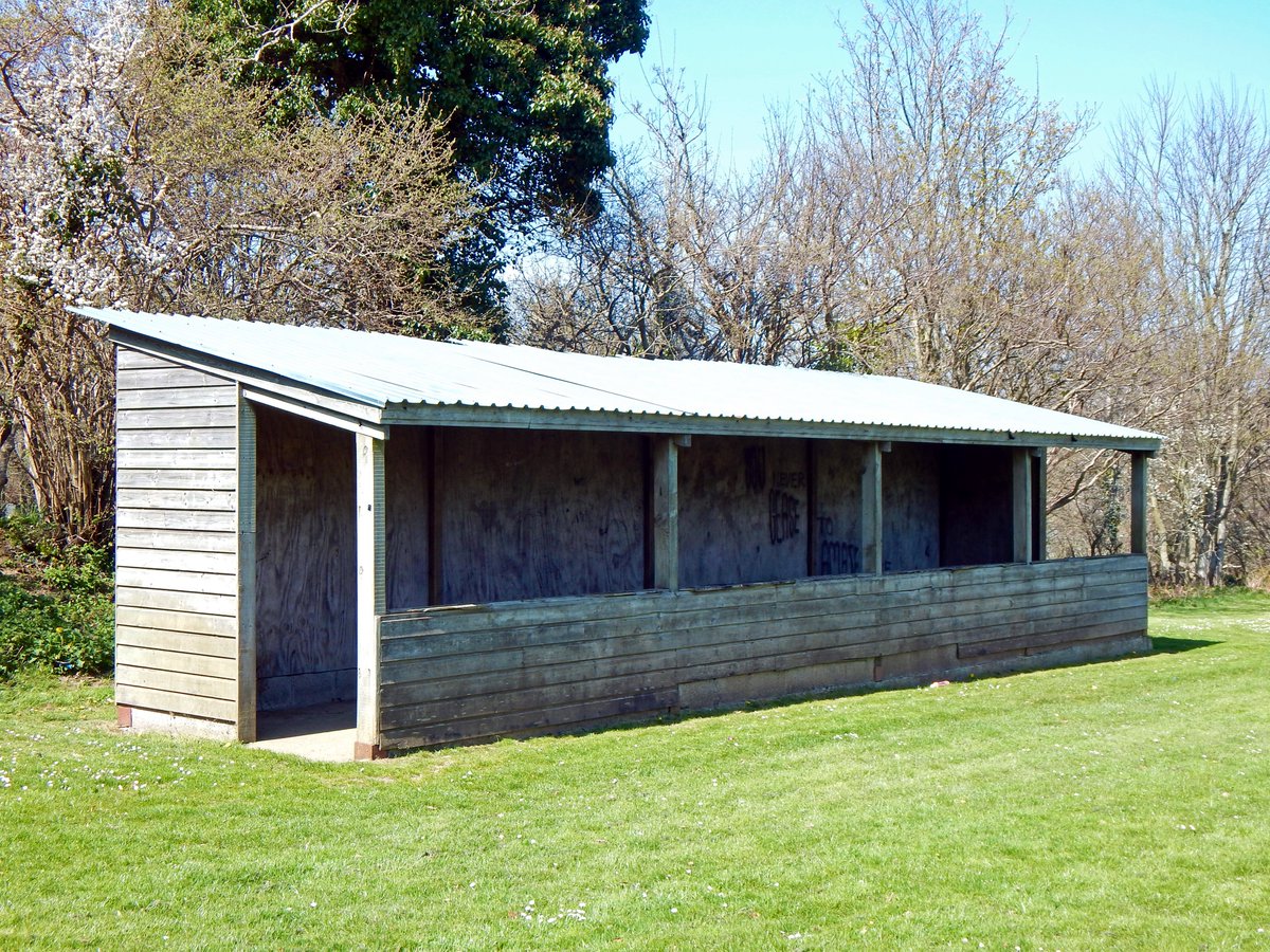 Peter Miles tweet media