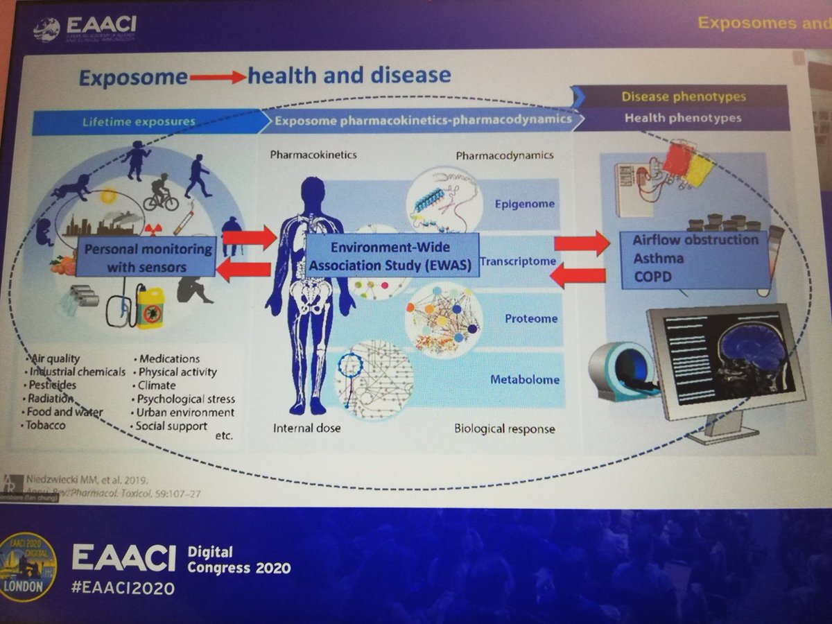 A really complete slide explaining the #exposome influence in #Health and #disease of the #airways #asthmaprevention #asthma #copd
Prof Chung #eaaci2020
@SEAIC_Alergia @EAACI_JM @scaic_cat