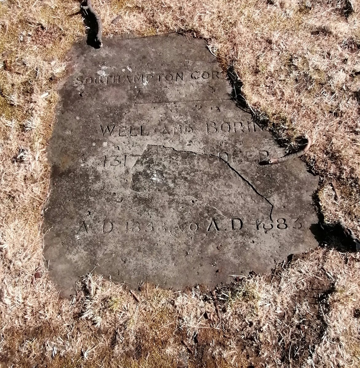 SouthamptonCom3's tweet photo. Good to see tye #artesianwell surrounds have been cleared.Hopefully a bit later it would be good ton uncover the old marker a bit more so it could be read. https://t.co/P7Lycn3ipB