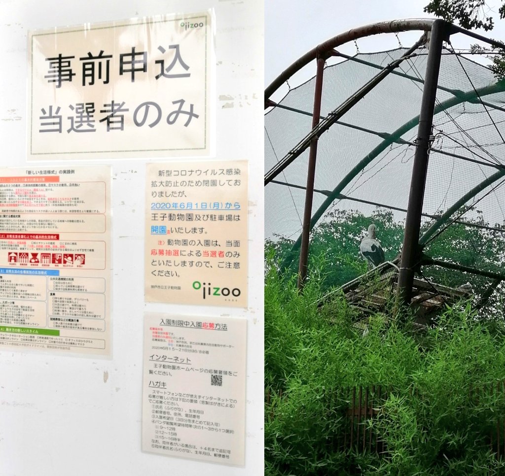 いかなごくん 今日のお風呂 灘温泉 水道筋店 オフンロ巡り 2 開催前から何度か来た店 銭湯料金でスーパー銭湯並の設備 利用し易いです 風呂上がりに甘味がまろやかでとても美味しいジンジャーエールを 動物園入場は抽選制 申し込んで他の灘区の