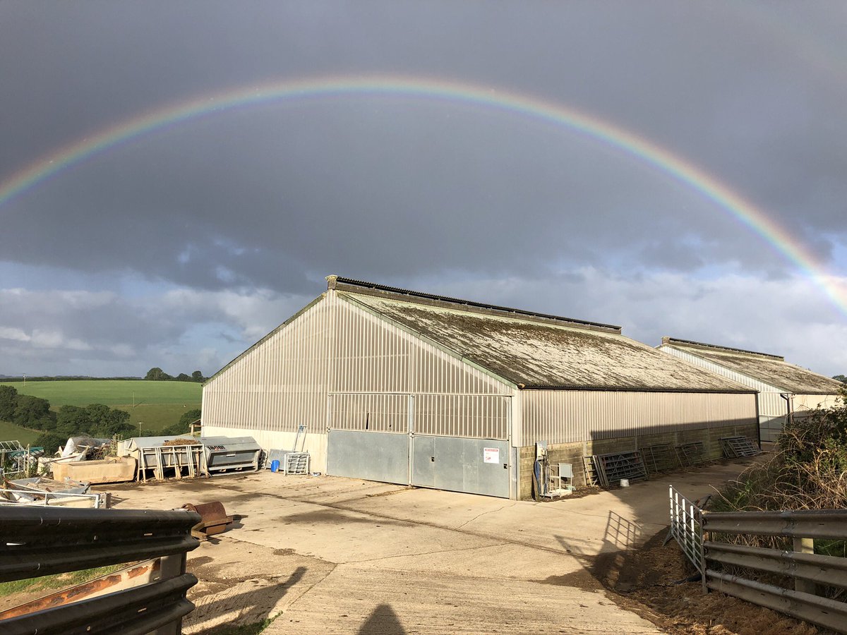 Calf rearing sheds earlier this morning, hope there’s a pot of gold😂#@BladeFarming