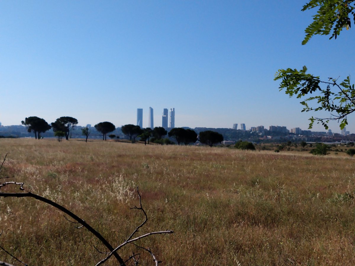 Torres_Run's tweet photo. Paseíto mañanero apurando el límite horario y municipal. #KmsXAlimentos #Ride4Fun #Bike4Fun @DrinkingRunners #YoParaSerFelizQuieroUnMaillot https://t.co/a9cI3EYWro