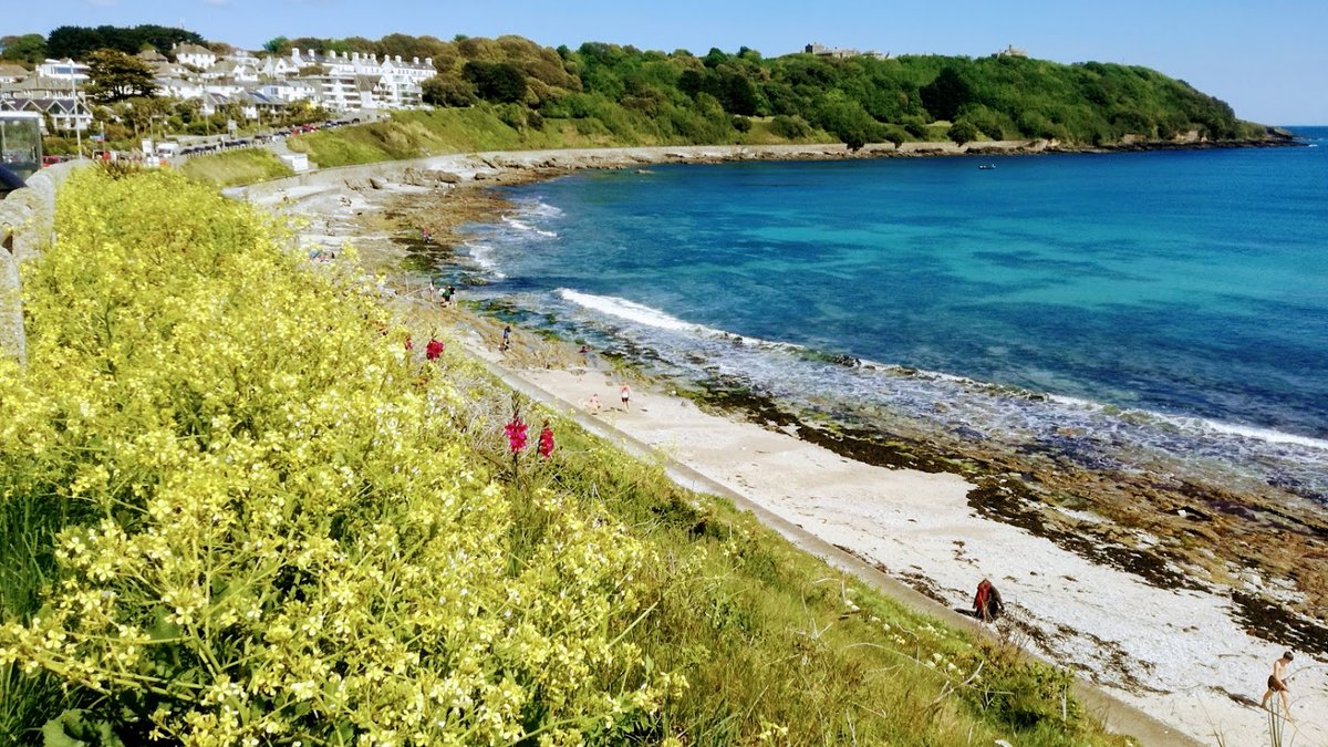 barrywills's tweet photo. Se you in beautiful Falmouth in 12 months time for #Biomining21, #SustainableMinerals21, #PhysicalSeparation21 and #IntegratedMinPro21. We invite abstracts by end of December. https://t.co/eG846wUIwc @im_mining @CornishMining @BuntingRedditch @ProMet101 @NewmontCorp @AfxMixing https://t.co/A0I9WOBkP5