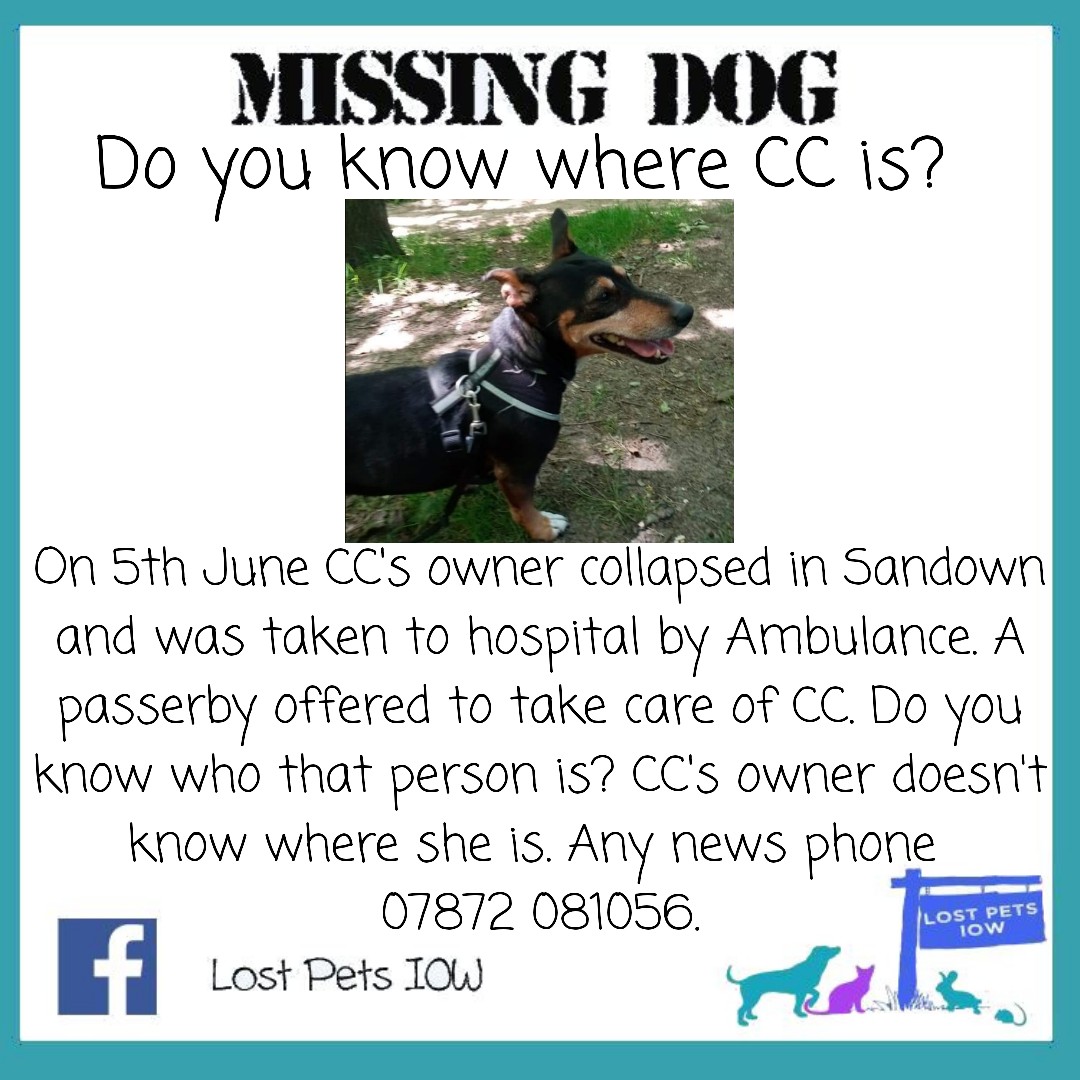 Lost Pets IOW tweet media