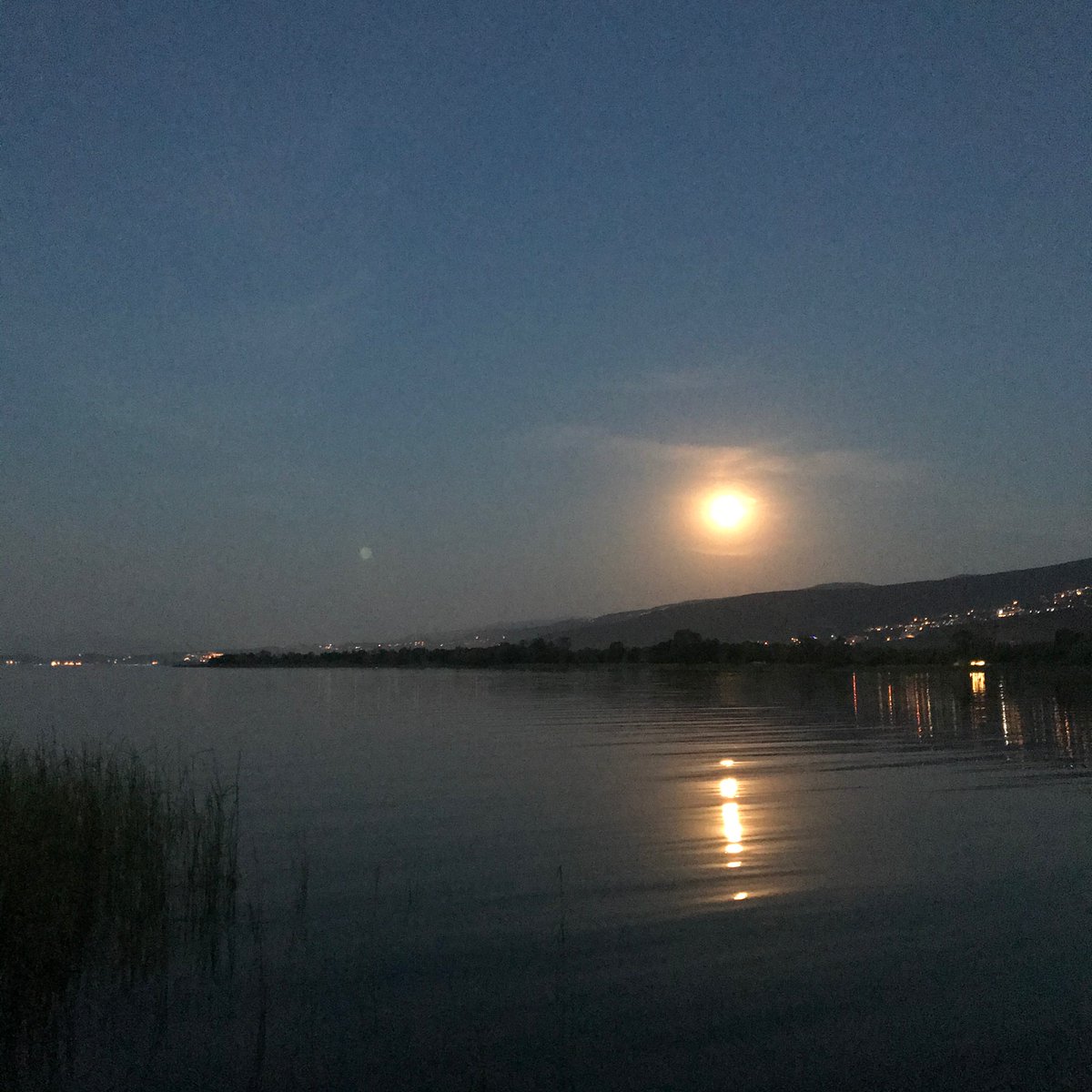 Vildan Bayram Karakuşlu tweet media