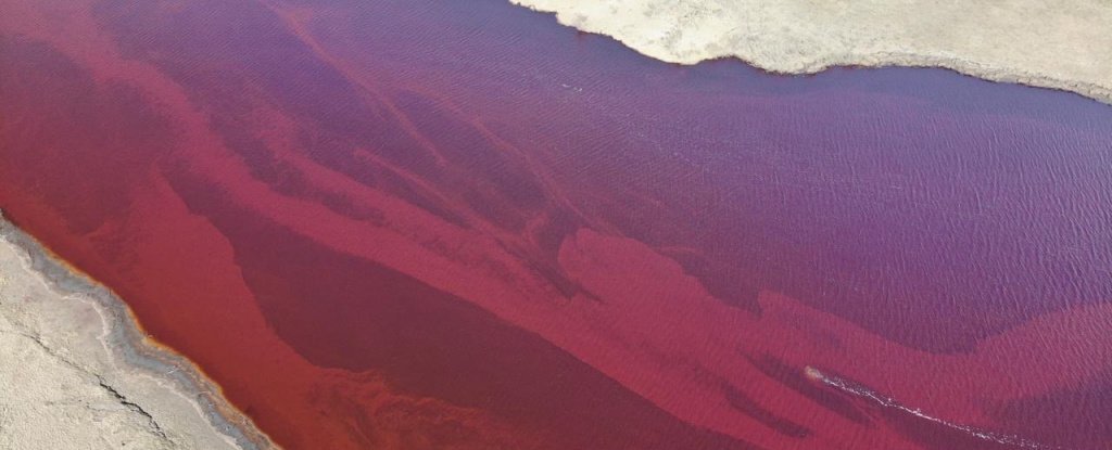 MarGomezH's tweet image. El pasado 29 de mayo tuvo lugar una grave catástrofe medioambiental con un vertido de más de 21.000 toneladas de vertido diésel en la región del Ártico ruso. (📸 Greenpeace Russia)