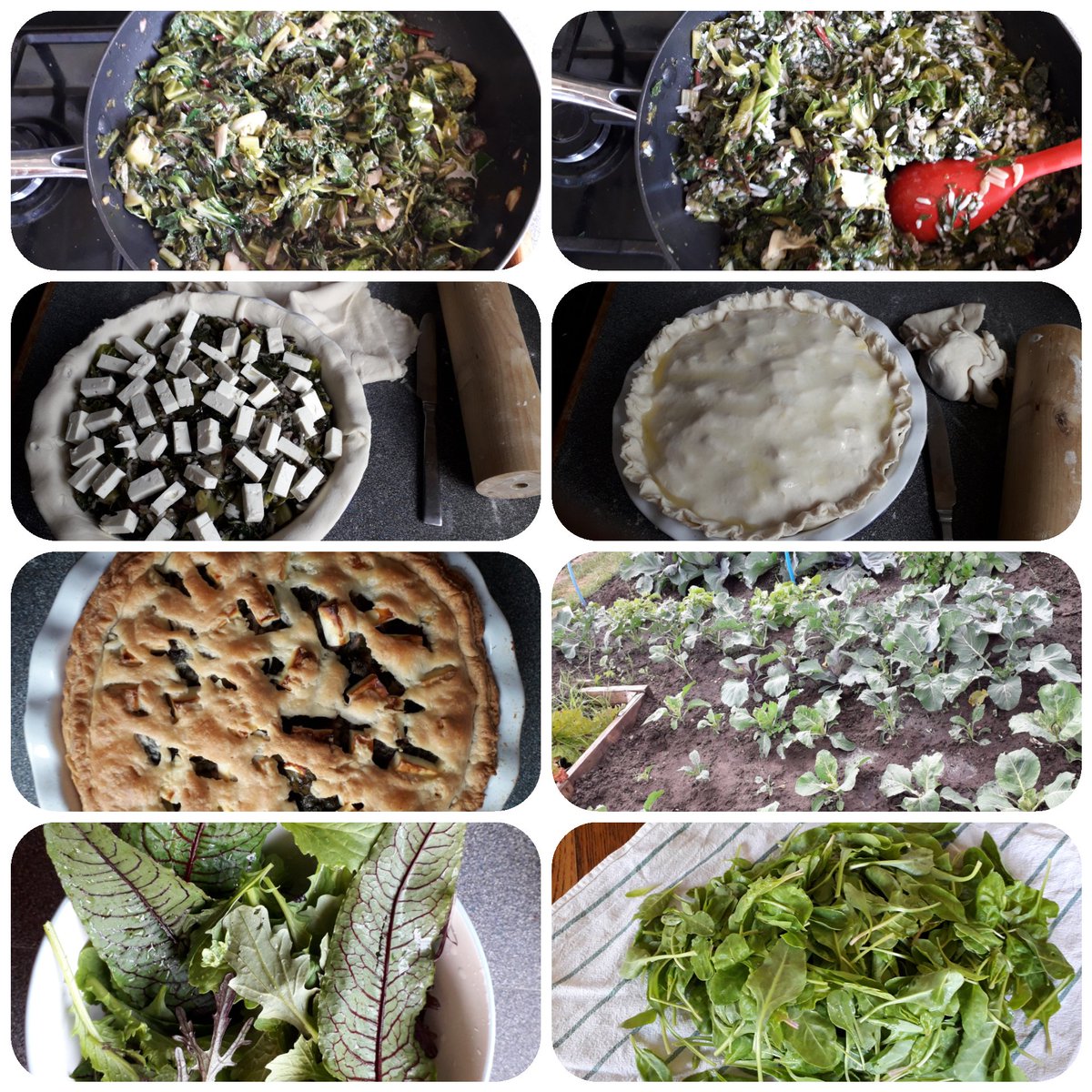BDBFood's tweet photo. An early start for me this morning harvesting spring greens, swiss chard, beetroot leaves, mint and oregano from the allotment to make an Ithaca pie. @BDBFood @welovewoking @ExperienceGford #sustainableliving #GrowYourOwnFood #reducingfoodmiles https://t.co/FPvrO1ENeN