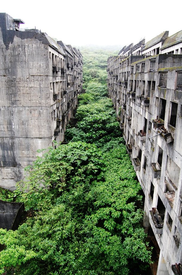 LeeMadgwick's tweet photo. This large condensed housing complex in the Zhongzheng district of Keelung city in Taiwan was left unfinished and abandoned many years ago - nature, however, soon reclaimed it. (All sadly now demolished.) https://t.co/qLoFGfecJO