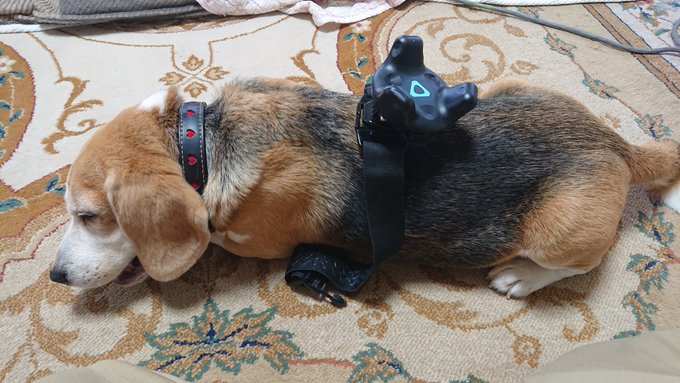 フルトライッヌ 