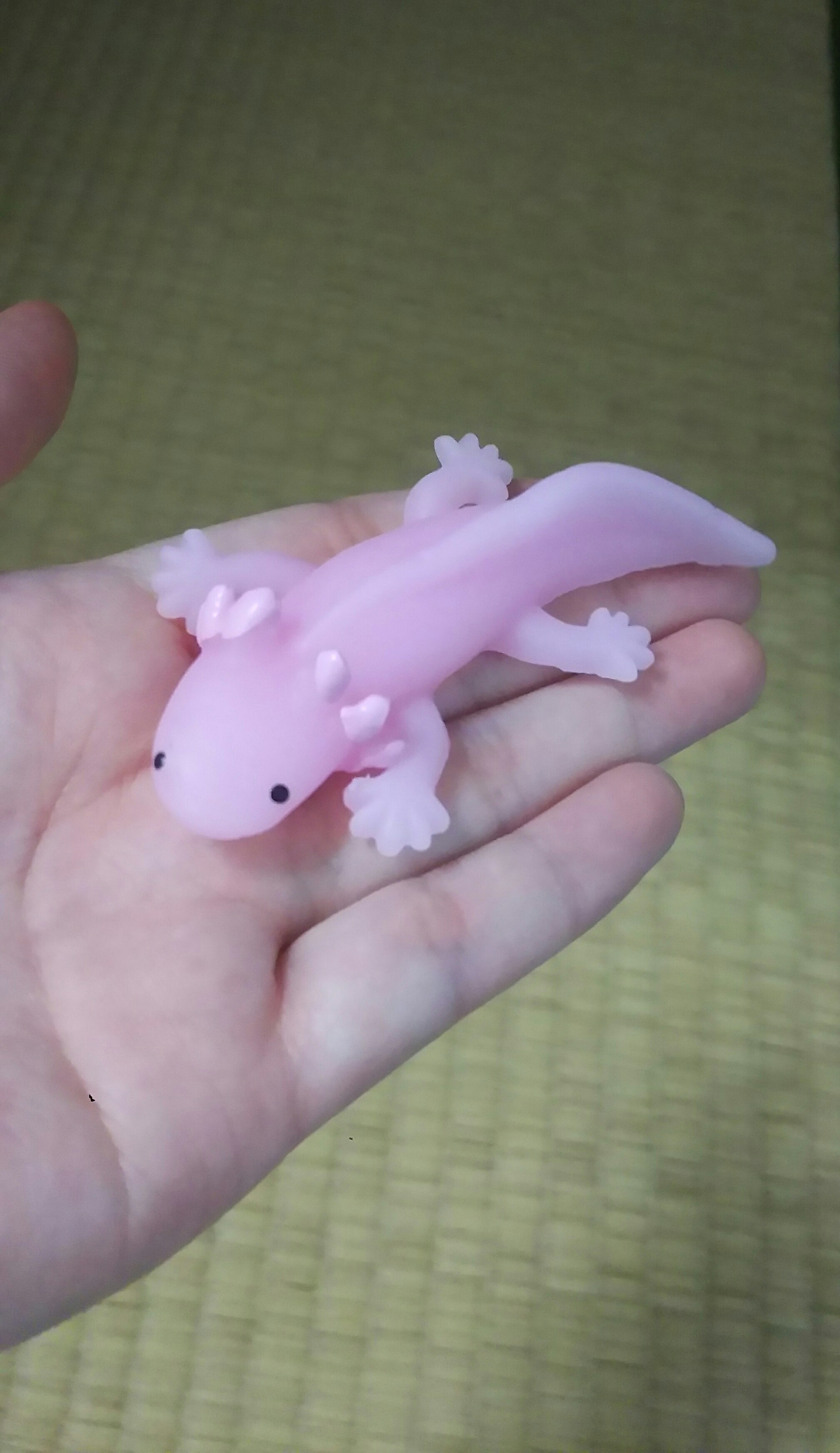御影 Auf Twitter 最近のガチャガチャカワイイ やわらかウーパールーパー ってやつ プニプニで 最高にラブリー やわらか ウーパールーパー ガチャガチャ ウーパールーパー 可愛いと思ったらrtといいね してくれると 私が嬉しくって感謝します T Co