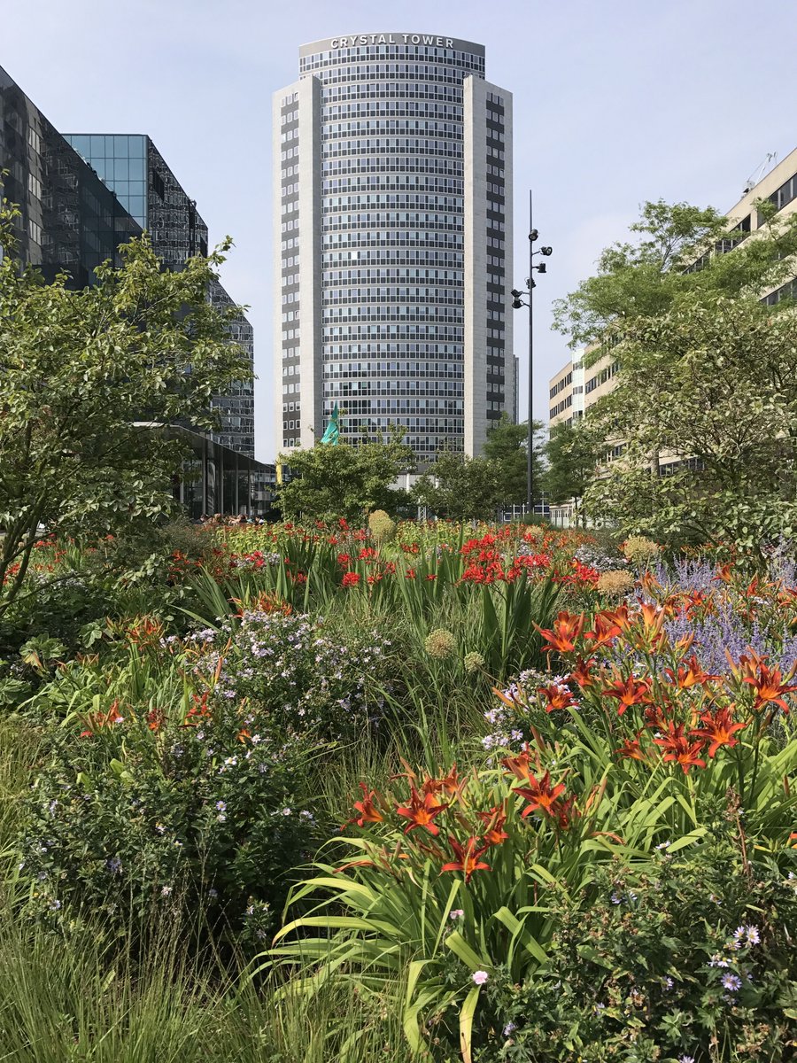 jvoeten1's tweet image. Creating livable cities and supporting biodiversity close to home is not hard! Transform grey-to-green with blue-green infrastructure, from ground level all the way up to the roof! How beautiful it is when life supports life!! #WGRD2020 #Permavoid #optigruen