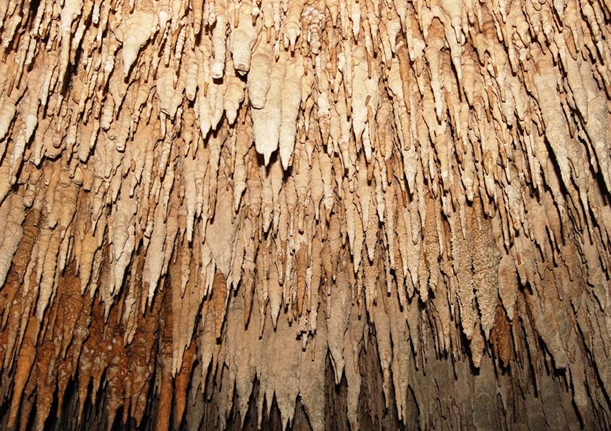 Solche wunderschönen märchenhaften Bogen bilden die über dem Kopfe herunterhängenden Stalaktiten. aktun-chen.com/de/blog/cacaxt…