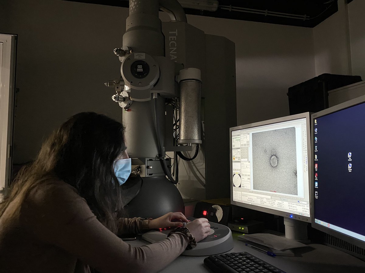 drtranfield's tweet photo. Last week was a busy week and a new experience teaching with a mask. But it was great to see my new team getting their first images of their first samples @IGCiencia. Yes that is โtheโ virus. #IGCEMF https://t.co/MDVSywj2zo