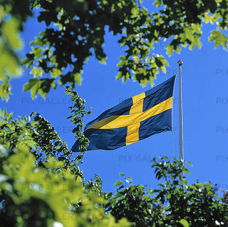 Happy Swedish National Day! Proud to be Swedish! To be part of a nation where we trust &amp; believe in our people. Where we don’t tell people what to do but trust in the judgement  of each individual. Where equality the foundation of society.