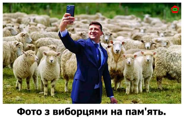 "Слуги народа" предлагают ввести компенсацию за "боль и сожаление" - Цензор.НЕТ 5990