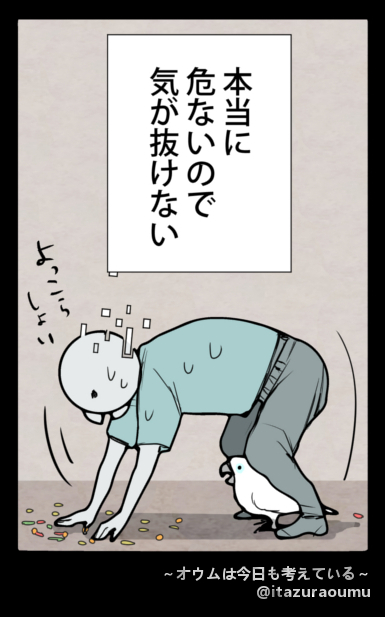 『飼い主の身体に密着できる』隙間が好きなオウム。
でもこれは止めて欲しい…

#漫画 #オウムは今日も考えている 