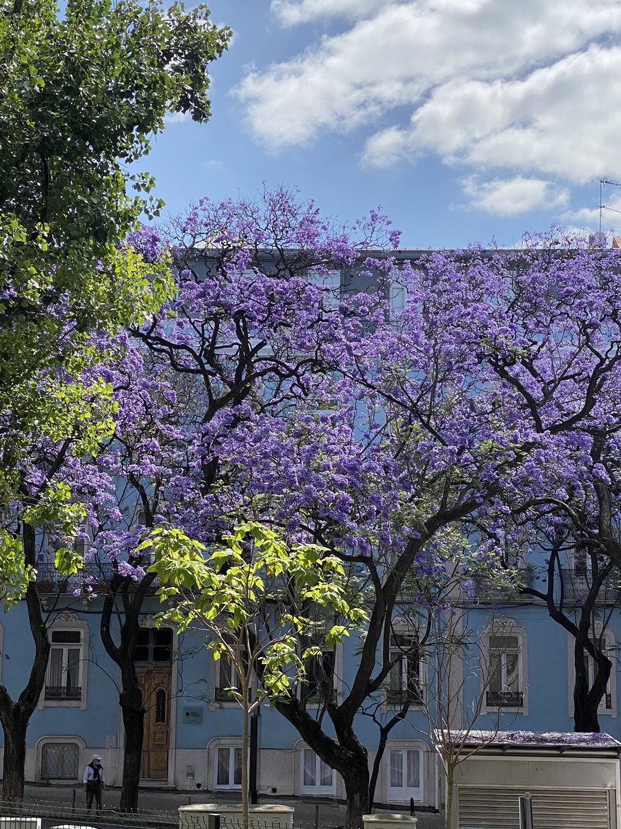 One of my favorite place to work #principereal #lisbon #insurance #startup #autotech #insurtech #drivetostore <a href="/odopass/">Odopass</a>