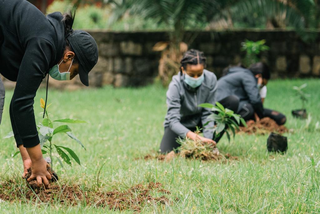 AbiyAhmedAli's tweet photo. We can instill many +ve values in children early on, including an outlook for environmental preservation, so  they form a better r/ship with nature. My family &amp; I call upon all #Ethiopians to plant their #GreenLegacy at the household level, observing #COVID19 prevention measures. https://t.co/g9LXqoHlI5
