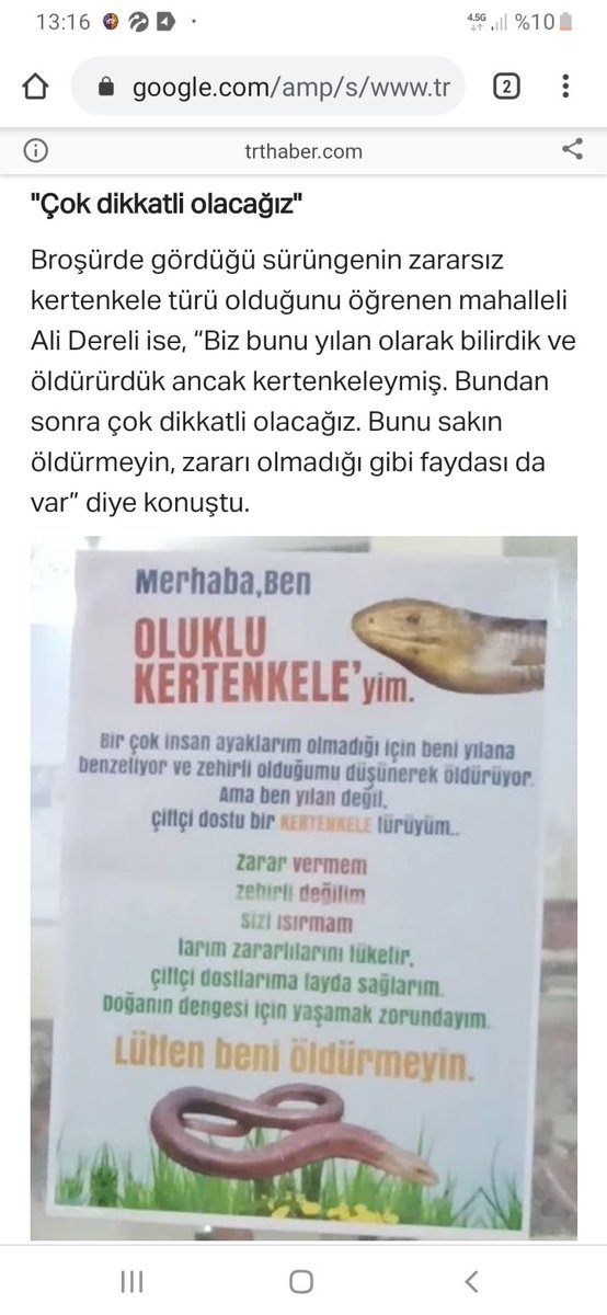 Bursa Karacabeyde oluklu kertenkeleler için broşür bastıran köy imamı, seni seviyoruz, varol...