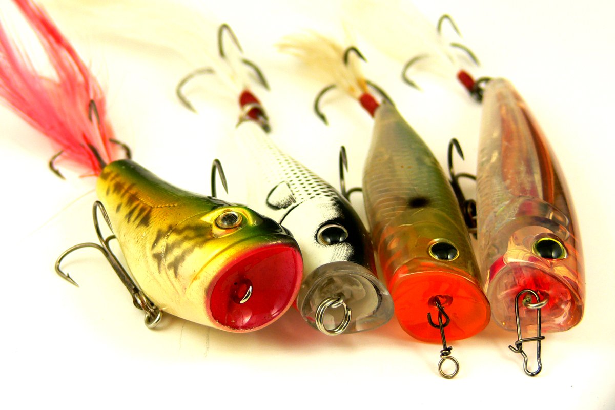 FishHardDave's tweet photo. If you missed it "LIVE", the "Hardbody Topwater Bassin'!" webinar that I did is up on the Navionics YouTube channel. Check it out if you're a topwater fan! https://t.co/06kEPXyEDz
#TopwaterMagic #NavionicsPro #FunWow #DaiwaCanada #YoZuri #Sunline #VigorEyewear https://t.co/GhQvXBsXhn