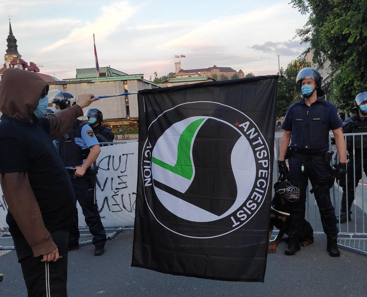 KomunalMedia's tweet photo. Policija ni veganska! Zakaj? https://t.co/ejeIe8bQqK https://t.co/bWFCTTrOn4