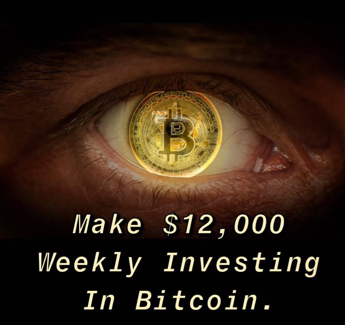 mark.profits tweet media