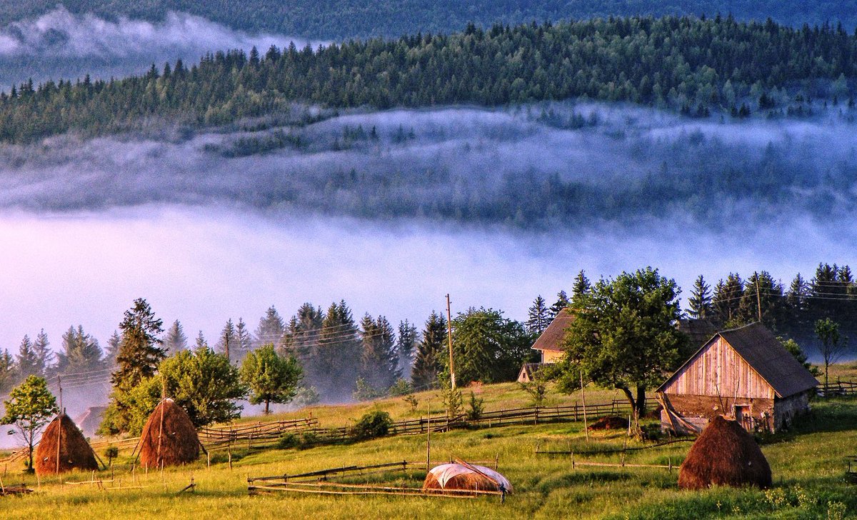 AmmarMesic's tweet image. Na pola je puta od Beograda do mora,a usput malo ko svrati. Jer malo je znakova za one koji bi samo da svrate, nema pored puta kafane s pevaljkom, nema etno sela sa velikim bilbordom, nema čak ni mnogo putokaza za manastire, spomenike i prirodu. 
Zato bih da vas pozovem da dođete