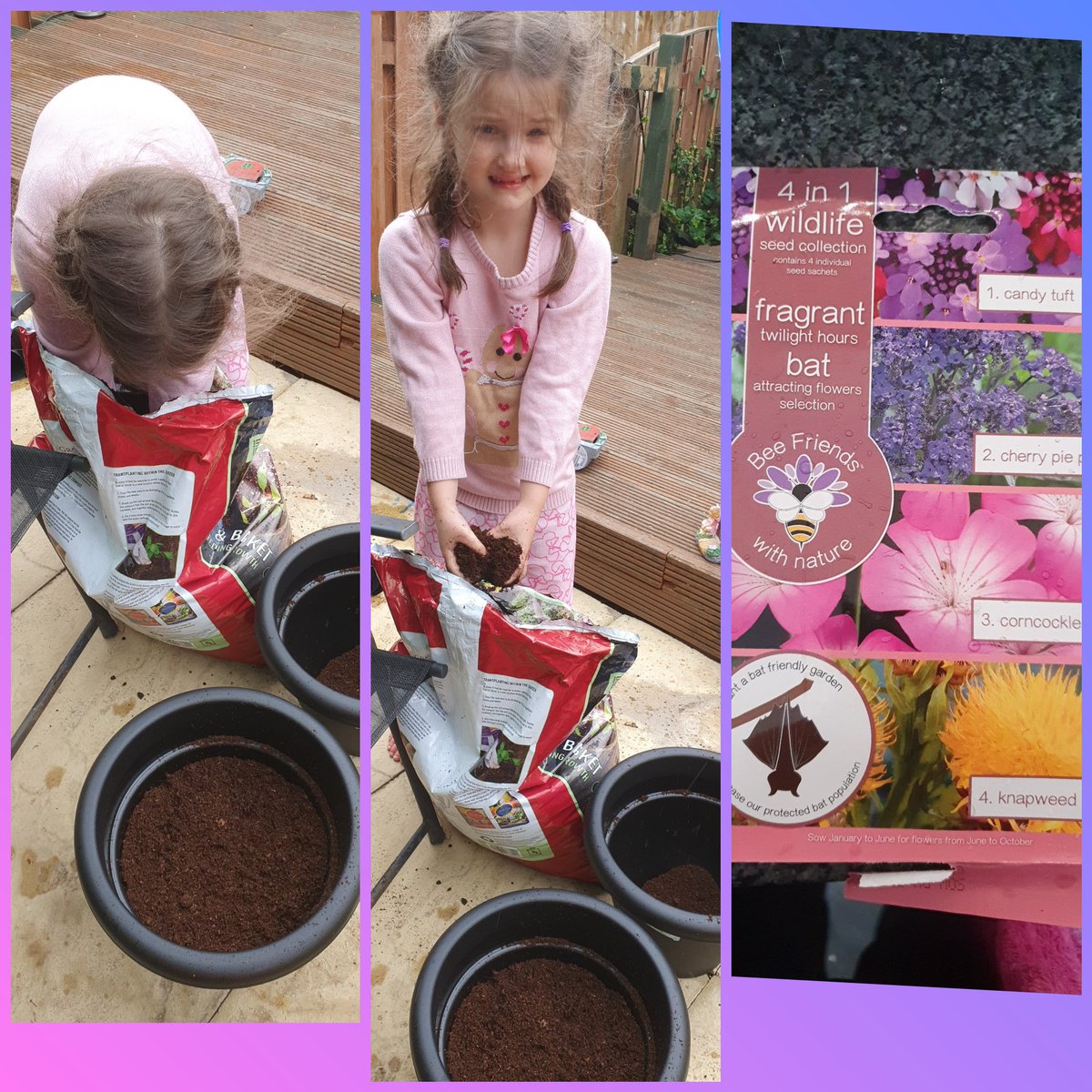 sarahlouise1804's tweet photo. Sowing some bat friendly seeds today π can't wait for them to grow #Batfriendly #Wildlife #Flowers #growingforbees https://t.co/g5WrZj7OuL