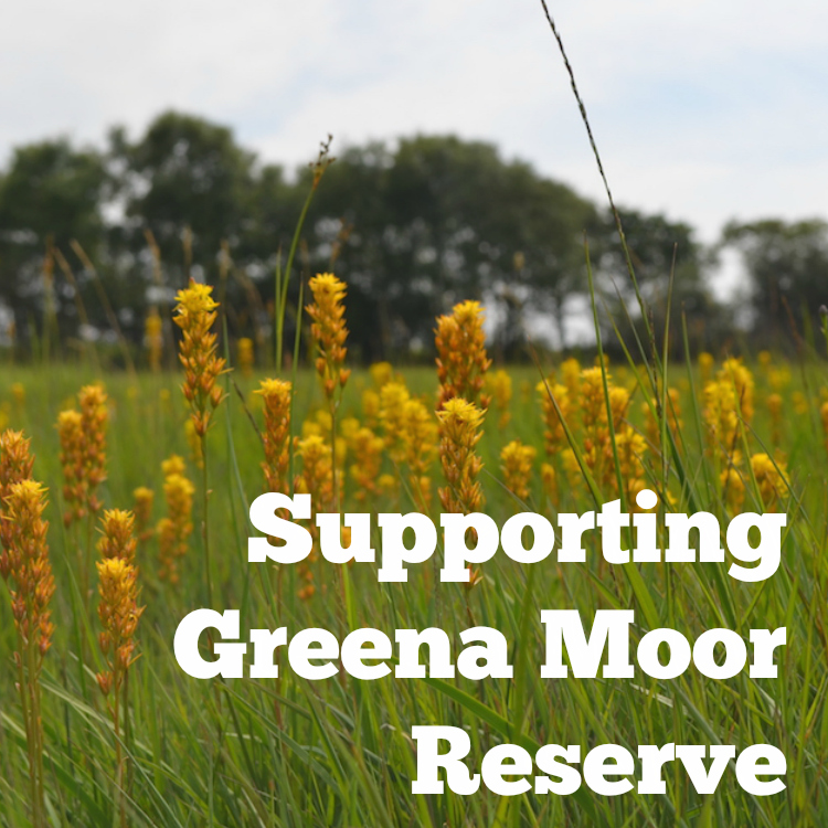 seed_ball's tweet photo. Since the second world war, the UK has lost 97% of its native wildflower habitats. Wildflower populations are essential for insect pollinators like bees and butterflies. Seedball are proud to help support @Plantlife #GreenaMoor #Wildflower #Culm #Meadow
https://t.co/wuCpCxURmg https://t.co/TEJCHWwN7O