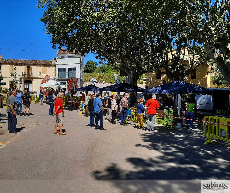 Aquest matí ha estat inaugurat el Mercat del Préssec d'Ordal🍑, amb els productors, artesans i cellers de #Subirats, com a protagonistes. Aquest any per primera vegada també en streaming en directe gràcies a @ferplanedit.  #CapitaldelaVinya #MPO20 #pressecdordal