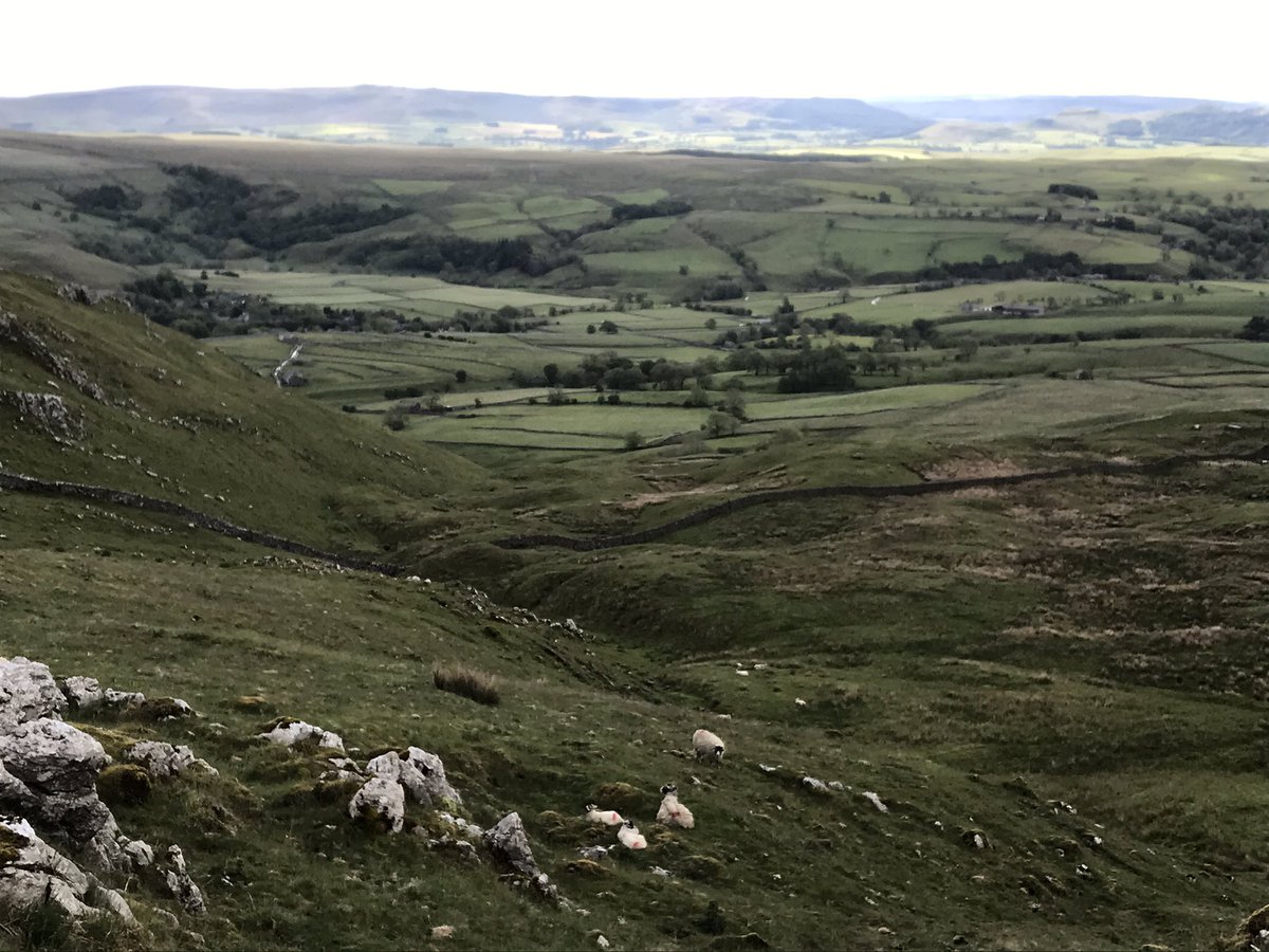 jillhes's tweet image. So this was my 8kTrail run this morning @WharfedaleHM @yorkshire_dales just over in #malhamdale a tad blustery but lovely &amp;amp; I’ll donate to @ParkinsonsUK  - looking forward to next year 🏃‍♂️#yorkshiredales