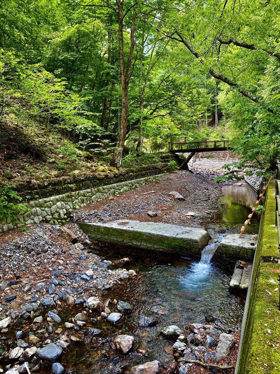 シーゲル お休み中 釣れないので 移動して近くの沢にいくことに すると同じ境遇のつり人さんが数人いたので釣果を聞いてみた 6人に聞いてみて 釣れたのは1尾 常連さんの話だと だいぶ渓相が変わっていてダメだと言っていた 奥秩父 渓流釣り