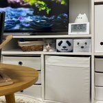 あなたは見つけられる？上手く擬態して周りに溶け込んでいる猫!