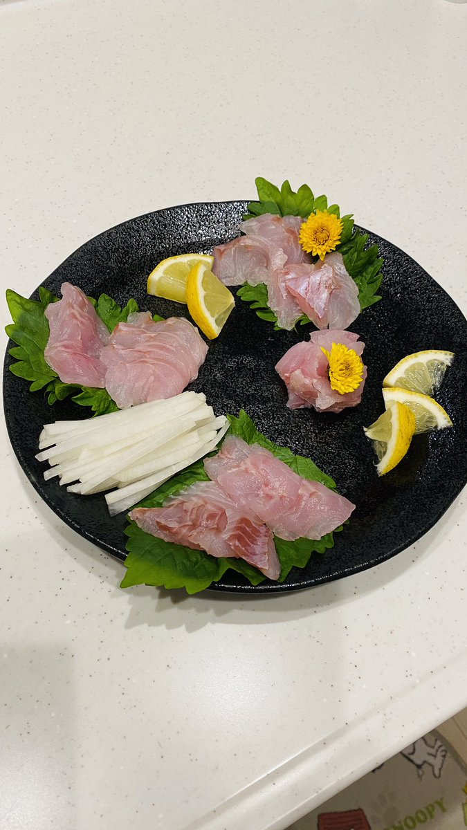タヌキメバル タヌキメバル